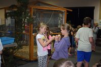 Zdj�cie: tn_DSC_0324.JPG