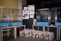 Zdj�cie: tn_DSC_0381.JPG