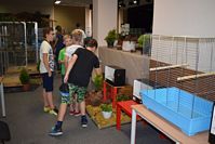 Zdj�cie: tn_DSC_0384.JPG