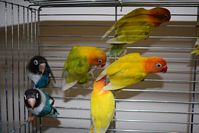 Zdj�cie: tn_DSC_0387.JPG