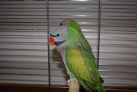 Zdj�cie: tn_DSC_0388.JPG