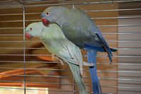 Zdj�cie: tn_DSC_0389.JPG