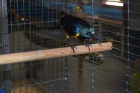 Zdj�cie: tn_DSC_0394.JPG