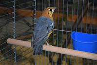 Zdj�cie: tn_DSC_0395.JPG