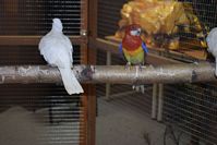 Zdj�cie: tn_DSC_0396.JPG