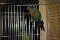 Zdj�cie: tn_DSC_0398.JPG