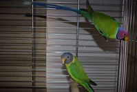 Zdj�cie: tn_DSC_0399.JPG