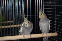 Zdj�cie: tn_DSC_0403.JPG