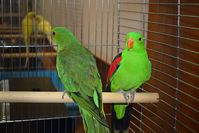 Zdj�cie: tn_DSC_0414.JPG