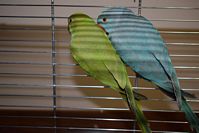 Zdj�cie: tn_DSC_0415.JPG