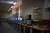 Zdj�cie: tn_DSC_0425.JPG