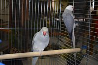 Zdj�cie: tn_DSC_0453.JPG