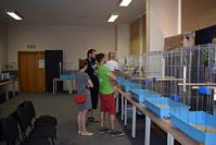 Zdj�cie: tn_DSC_0536.JPG