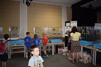 Zdj�cie: tn_DSC_0558.JPG