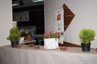 Zdj�cie: tn_DSC_0610.JPG