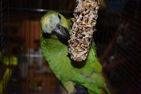 Zdj�cie: tn_DSC_0668.JPG