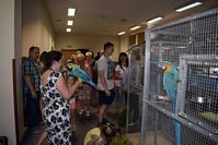 Zdj�cie: tn_DSC_0697.JPG