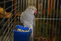 Zdj�cie: tn_DSC_0710.JPG