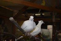 Zdj�cie: tn_DSC_0712.JPG