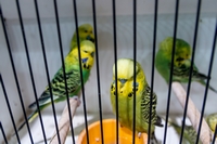 Zdj�cie: w20161.jpg