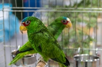 Zdj�cie: w201613.jpg