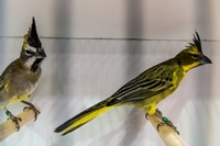 Zdj�cie: w201614.jpg