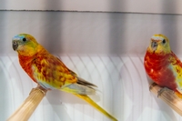 Zdj�cie: w201615.jpg