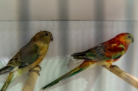 Zdj�cie: w201616.jpg