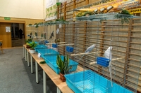 Zdj�cie: w201617.jpg