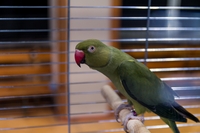 Zdj�cie: w20162.jpg