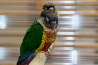 Zdj�cie: w201621.jpg