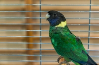 Zdj�cie: w201622.jpg