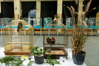 Zdj�cie: w201623.jpg