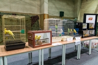 Zdj�cie: w201624.jpg