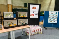 Zdj�cie: w201625.jpg