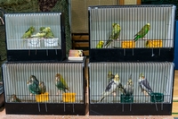 Zdj�cie: w201626.jpg