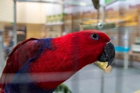 Zdj�cie: w201628.jpg