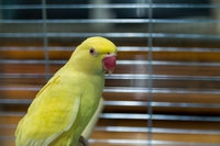 Zdj�cie: w20163.jpg