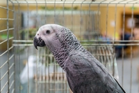 Zdj�cie: w201630.jpg