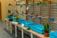 Zdj�cie: w201631.jpg