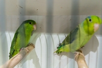 Zdj�cie: w201632.jpg