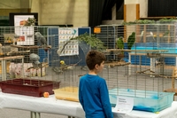 Zdj�cie: w201633.jpg