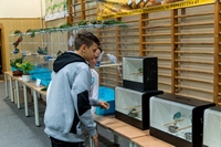 Zdj�cie: w201634.jpg