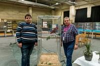 Zdj�cie: w201639.jpg