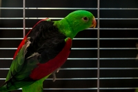 Zdj�cie: w20164.jpg