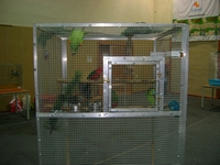 Zdj�cie: w201642.jpg