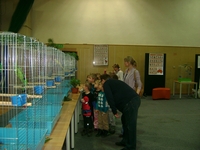 Zdj�cie: w201648.jpg