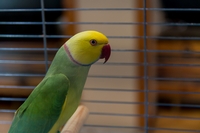 Zdj�cie: w20165.jpg