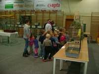 Zdj�cie: w201650.jpg