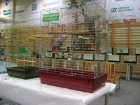 Zdj�cie: w201652.jpg